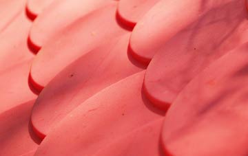 Beech plastic roof costs