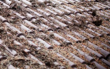 Beech roof cleaning companies