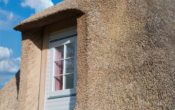 Beech thatch roof disadvantages