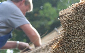 professional Beech thatchers